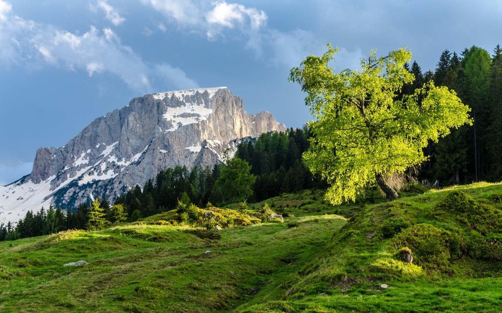 Schoenauerhof Шланитцен Экстерьер фото