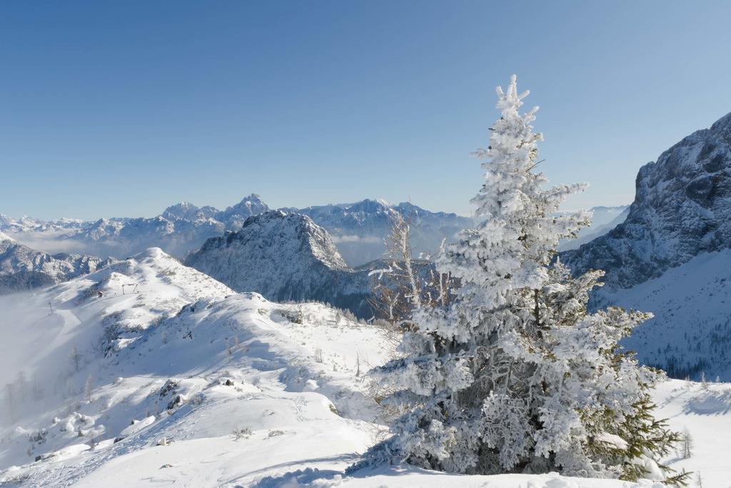Schoenauerhof Шланитцен Экстерьер фото