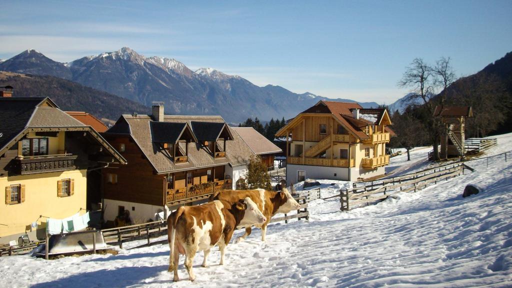 Schoenauerhof Шланитцен Экстерьер фото