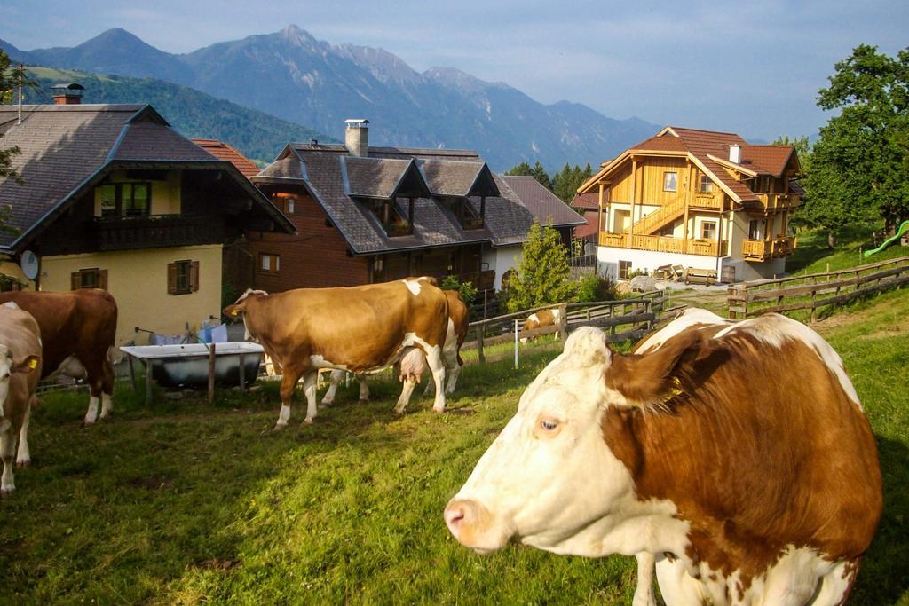 Schoenauerhof Шланитцен Экстерьер фото